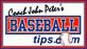 baseballtips.com
